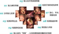 四维一般什么时候预约