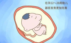 厦门天伦医院孕期产科检查时间和项目