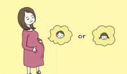 厦门孕妇做四维彩超费用是多少