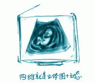 <b>收藏孕期各阶段的四维检查时间</b>