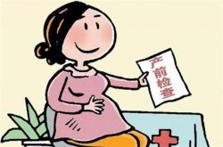 <b>厦门产前检查的项目有哪些</b>