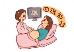 <b>厦门四维彩超的费用主要影响因素</b>