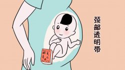 <b>厦门医院做NT检查多少钱</b>